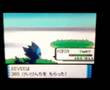 Pokemon Pearl - Eevee to Glaceon