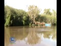 DE PESCA TV PROGRAMA 12 DE PESCA TV PROGRAMA 12