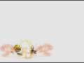 Maple Revolution Test Fight