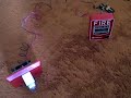 Fire Lite BG-12 Test Using The Wheelock Multitone (Redo)