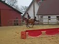 Speedy spring f�rste gang