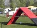 Agility CR 2007