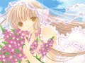 chobits are you the one?