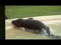 Australia Zoo