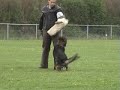 Gauner vom Eifelquarz FCI 2008 LG 06 C