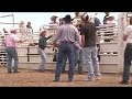 miniature bull jc mortenson craig