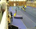 daeron agility