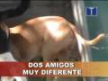 AMIGOS DIFERENTES CANAL 10 MELAQUE CIHUATLAN