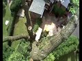 Ash tree removal part 2