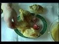 Click to View : Dobro Jutro Hrvatska o nama