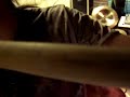 Videoclip Heavenly Perverse Dimmu Borgir