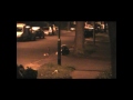 Foxes in Berbia