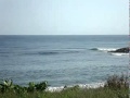 @portugil [http://twitvid.com/KZDAW - La Guaira 18 de Oc...]