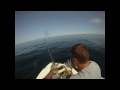 Most giant tuna caught off Cape Cod are not 1,000 pounds.  Fish below 500 pounds are more common.