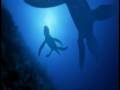 Liopleurodon: Jurassic Sea Monster