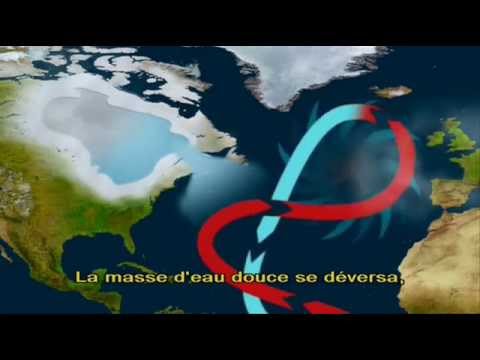 gulf stream