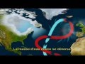 gulf stream