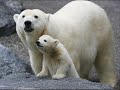 Relaxing Music - Soothing Pictures 2 Relaxing Music - Soothing Pictures 2