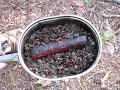 Backpacking Ocala National Forest with TAG Backpacking Ocala National Forest with TAG