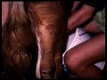 milking by hand milking by hand