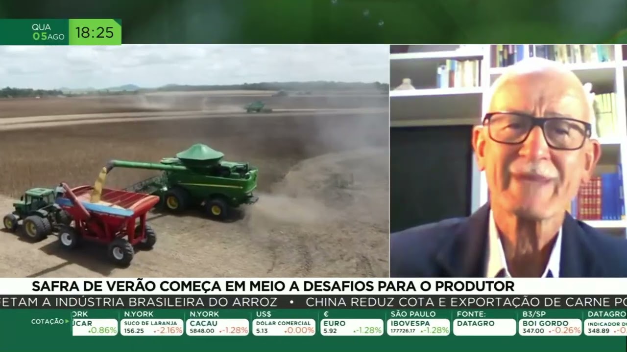 Safra de verão começa em meio a desafios para o produtor