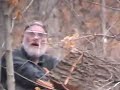Tree Cutting  Dean Bunyon