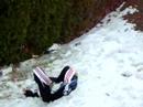 Jackass Matt Rogers Bush Dive Jackass Matt Rogers Bush Dive