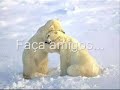 A Vida... -- Amizade ! =]