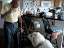 Uncle John and Kuma