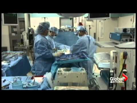 New organ transplant program