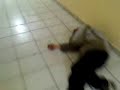 Cum arata un camin din REGIE Bucuresti Cum arata un camin din REGIE Bucuresti