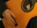 Francisco Tarrega: Jota, played by Michael Erni - guitar