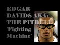 the pitbull edgar davids  fighting machine 