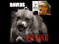 the pitbull edgar davids  fighting machine 