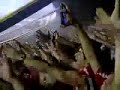 Video screenshot