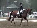 FEI PSG Dressage Test- www.dressage-connection.com FEI PSG Dressage Test- www.dressage-connection.com