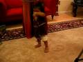 videos de b23