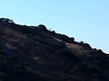 LA PRESA 2
