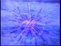 mar.core - sedimento primigenio - installation 2oo5