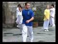 students from abroad practisin kungfu in zixiao palace