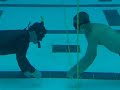 seals bud/s training 1 of 4