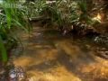 Cannibalism - Tribe - BBC Cannibalism - Tribe - BBC
