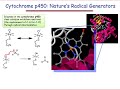 Cytochrome P450: Radicals in a Biochemical Setting