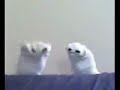 Kersal Massive Glove Puppet Kersal Massive Glove Puppet