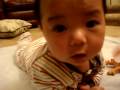 videos de MOV02453