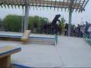 Plan B demo - Brampton RE-EDIT Plan B demo - Brampton RE-EDIT
