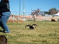 See Video