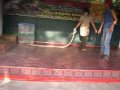 Kissing the King Cobra