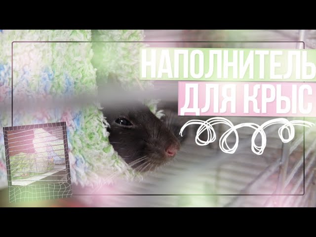 НАПОЛНИТЕЛЬ ДЛЯ КРЫС / Какой выбрать?