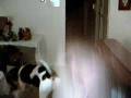 videos de My name is Isaac